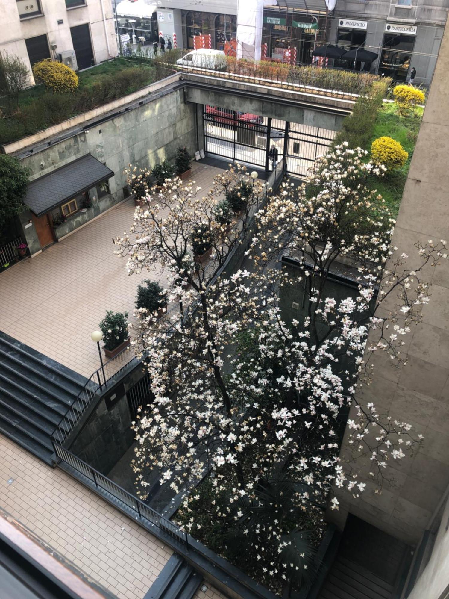 Music House - Carozzi Apartments 밀라노 외부 사진